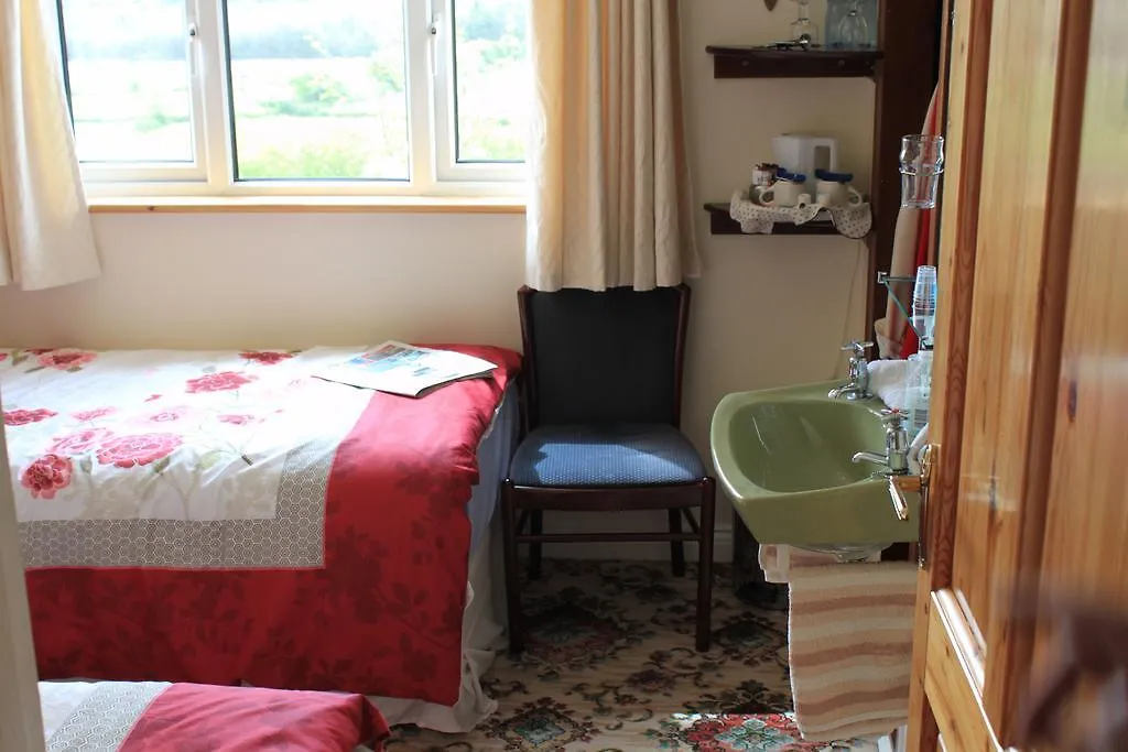 Flushing Meadow Bed And Breakfast Ballinhassig Couette-café